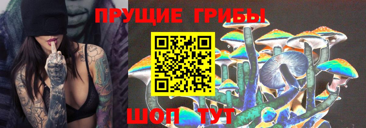 Псилоцибиновые грибы GOLDEN TEACHER  Вход с VPN  Таганрог 
